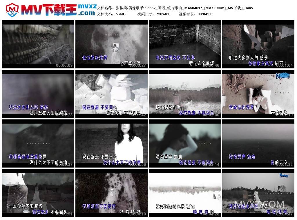 张栋梁-偶像歌手993352_国语_流行歌曲_MA504617